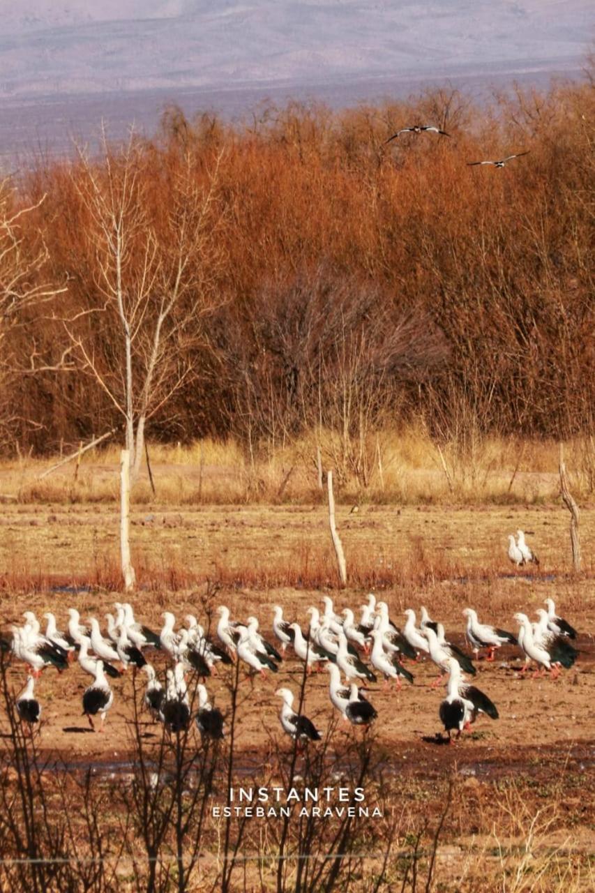 Rio Los Patos バレアル エクステリア 写真