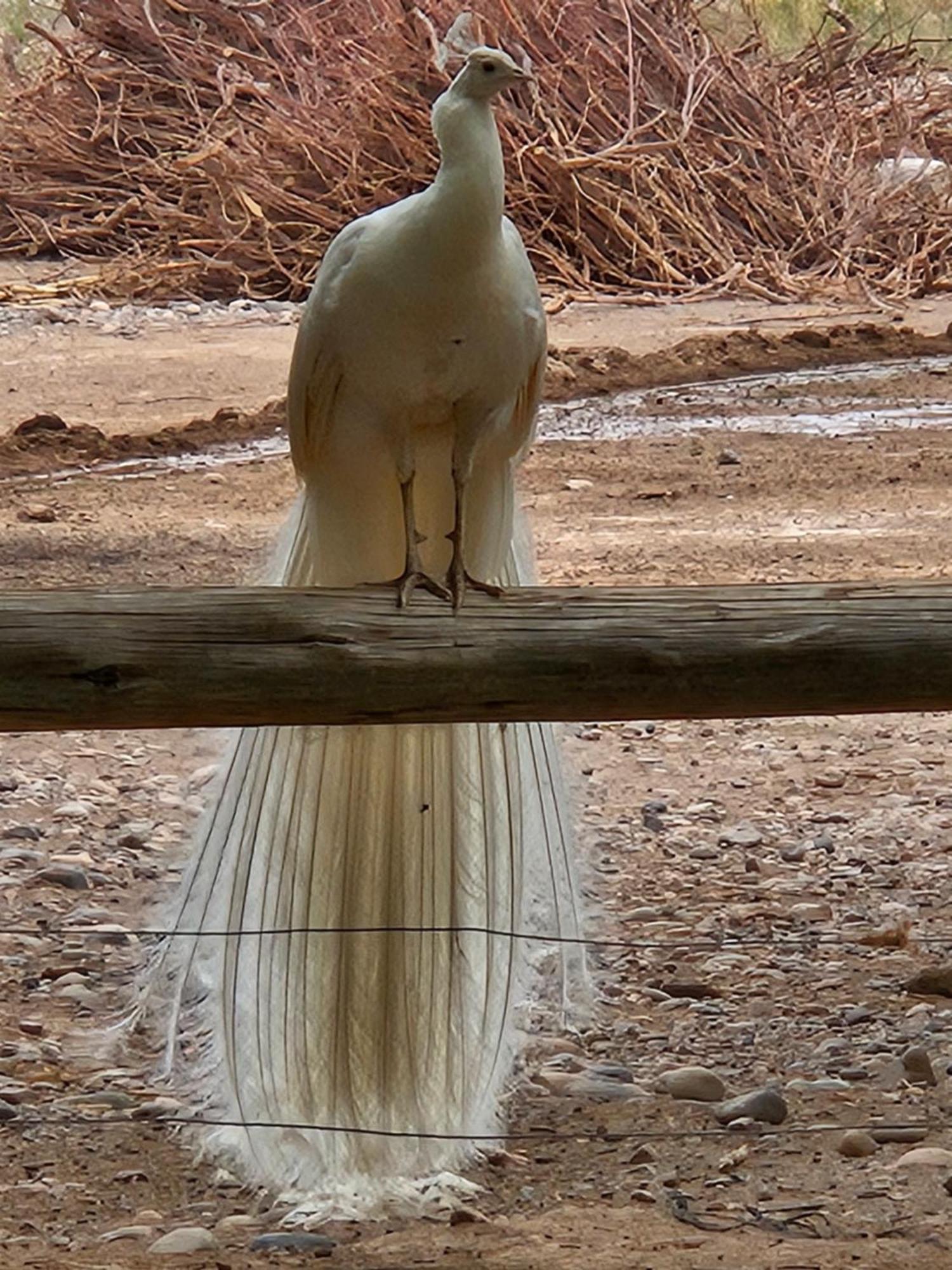 Rio Los Patos バレアル エクステリア 写真
